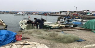 Misine İle Avlanan Balıkçılara Operasyon