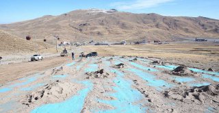 Büyükşehir, Erciyes'e Biyotekstil Tohum Halısı Serdi