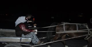 At Arabalı Hırsızları Yakalayan Polis, At Arabasına Binerek Hırsızları Emniyete Götürdü