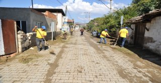 Büyükşehir Nazilli Durasıllıda Çevre Temizliği Yaptı