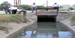 Mahalle Sakinlerinden Dsiye Tepki