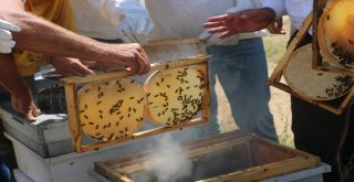 Terör Bitti Bölgeye Huzur Geldi