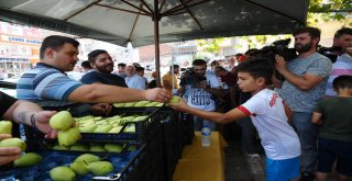 Gürsuda Armut Festivali Coşkusu