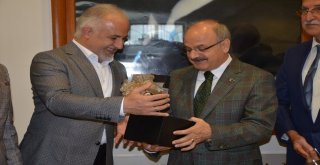 Türk Kızılayı Göç Dalgasına Karşı Tedbirli