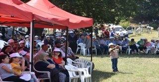 Tekirdağ, Ihlamur Şenliğine 10Uncu Kez Ev Sahipliği Yaptı