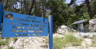 Antalya Büyükşehir Belediyesi, Tarıma 4 Yılda 210 Milyondan Fazla Destek Sağladı