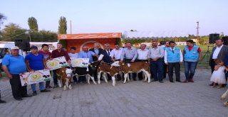 Hisarcık Kültür Ve Sanat Festivali 7 Ağustosta