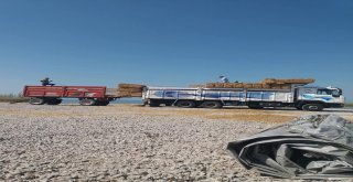 Gölkaşı Adasında Hasat Sona Erdi