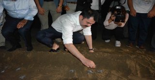 Bakan Kurum Caretta Carettaları Denizle Buluşturdu