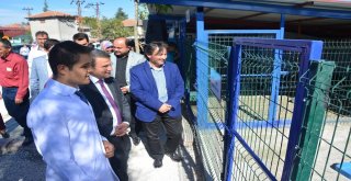 Sokak Hayvanları Rehabilitasyon Merkezi Açıldı