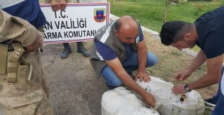Gevaşta Kaçak Avlanmış 14 Yavru Keklik Ele Geçirildi