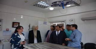 Milletvekili Beklenin Hayvan Hakları Duyarlılığı
