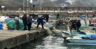 Misine İle Avlanan Balıkçılara Operasyon