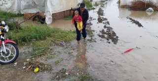 (Özel Haber) Mevsimlik İşçilerin Çadırlarını Sel Bastı, Çocuklar Son Anda Kurtarıldı