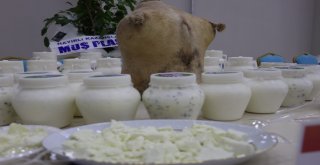 Doğu Anadolunun Birbirinden Lezzetli Peynirleri Bitliste Buluştu