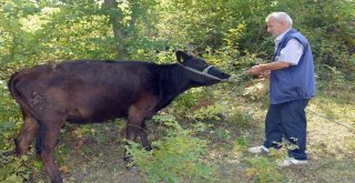 (Özel) Dronedan Korkan Ve Tepkileriyle Fenomen Olan Hasan Amca Konuştu: