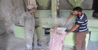 Karsta Ruslardan Kalan Değirmen 100 Yıldır Çalışıyor