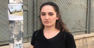 Genç Kadın Evden Kaçan Kedisini Sokak Sokak Arıyor