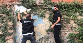 (Özel) İstanbulda Narkotik Operasyonunda “Torbacı Nene” Kıskıvrak Yakalandı