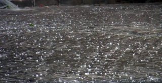 Kütahyada Fındık Büyüklüğünde Dolu Yağdı