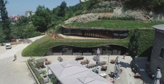 Trabzonda 450 Kişilik Hobbit Evi Yapıldı