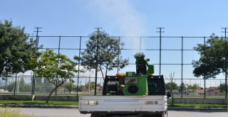 Tepebaşında Haşere İle Mücadele Devam Ediyor