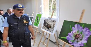 Bakan Pakdemirli, Yangın Kulesi Ekiplerinin Bayramını Kutladı