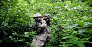 Jöperler İlk Defa Bu Kadar Yakından Görüntülendi