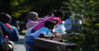 Kurban Bayramında Hayvanat Bahçesine Yoğun İlgi