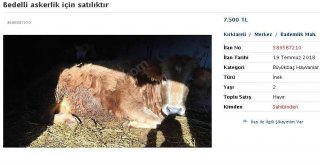 Bedelli Askerlik İçin İneğini Satıyor