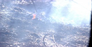 Bursada 2 Orman Yangını Çıktı, Ekipler Anında Müdahale Etti