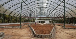 Rengarenk Kelebekler Gaziantepte Uçacak