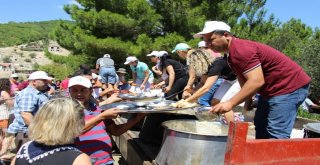 29. Güre-Sarıkız Hayrı Pazar Günü Yapılacak
