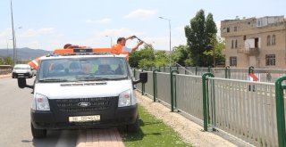 Melikgazi, Haşeratla 7 İlaçlama Ekibi İle Mücadele Ediyor