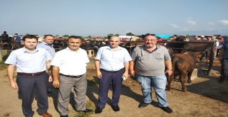 Bildirmeyene Cezai İşlem Uygulanacak