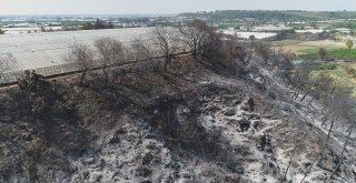 Antalyada Yangının Ardından Ürküten Manzara