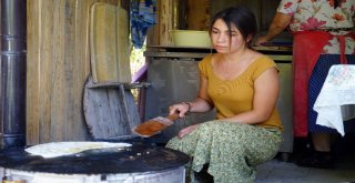 (Özel) Üniversiteli Genç Kız, Kastamonuda İmece Usulü Köy İşlerinde Çalışıyor