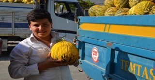 Çiftçiler Tütüncülüğü Bırakıp Kavuna Yöneliyor