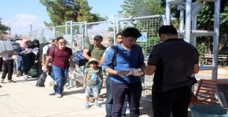 52 Bin 114 Suriyeliden 48 Bini Türkiyeye Döndü