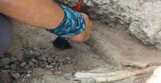 Çankırıda Omurgalı Fosil Kazıları Başladı