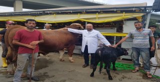 (Özel) Bu Da En Küçük Kurbanlık