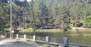 Kastamonunun Sihirli Güzelliği Dipsizgöl Turizme Kazandırılıyor