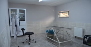 Hayvan Bakımevi Ve Rehabilitasyon Merkezi Açıldı