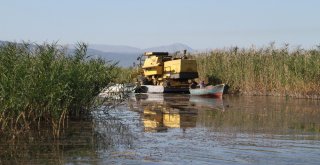 Adadaki Hasat Sonrası Biçerdöverin Göldeki Yolculuğu