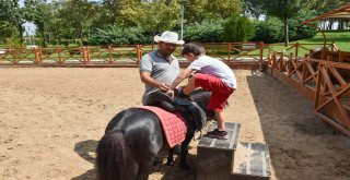 Altınparkta Midilli Keyfi