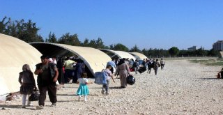 Ülkesine Bayramlaşmak İçin Giden Suriyelilerin Sayısı 31 Bine Ulaştı