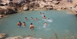 Uyuz Olan Bu Göle Koşuyor