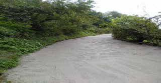 Görele Belediyesinden Yol Çalışması