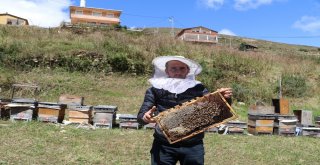 Hava Şartları Anzer Balını Vurdu