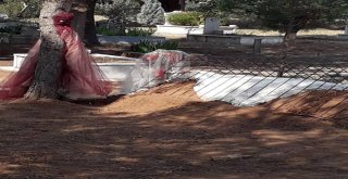 Genç Kız Nişanlanacağı Akşam Hayatını Kaybetti